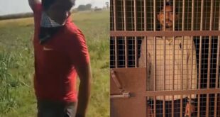 Babugarh thana Police : तमंचे से फायरिंग करते हुए युवक की वीडियो वायरल किया गिरफ्तार ?