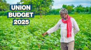 announcements in the budget : किसानों के लिए बजट में घोषणाएं ?