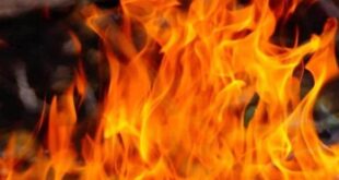 death occurred : ज़मीनी विवाद में ज़िंदा जलाया गया वृद्ध, इलाज के दौरान हुई मौत ?