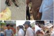 funeral rites of dead cow : लोनी में गौरक्षकों की टीम ने कराया छोटे मृत गौवंश का अंतिम संस्कार ?
