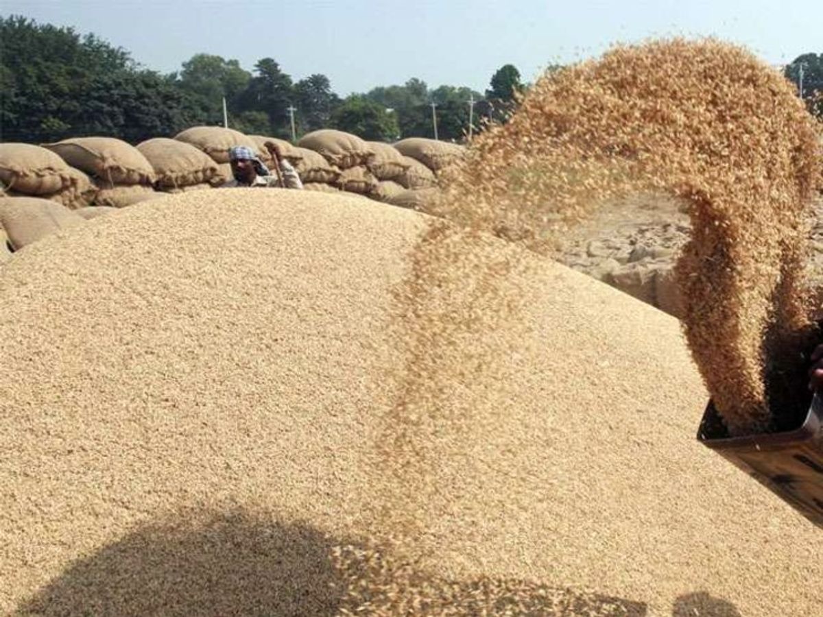 Procurement scam : उत्तर प्रदेश में करोड़ों का धान खरीद घोटाला ?