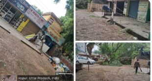 Blown away by a storm : भीम नगर पुलिस चौकी के पास एक वर्षों पुराना विशाल पेड़ आंधी के कारण उखड़ गया ?