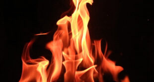 Explosion in a firecracker factory : अमरोहा की पटाखा फैक्ट्री में विस्फोट, चार मजदूरों की मौत, 6 घायल ?