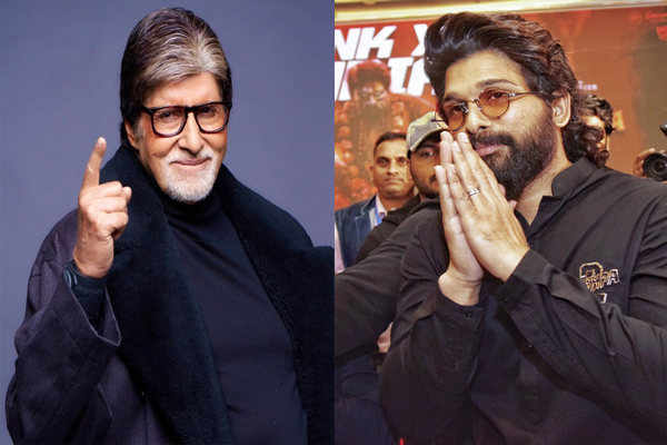 The stars congratulated : IPL 2025 , RCB ने जीता खिताब, अल्लू अर्जुन, अमिताभ बच्चन समेत सितारों ने दी बधाई ?