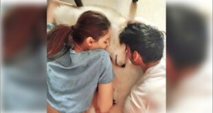 Ahan and Athiya Shetty : ब्रॉडी के निधन से टूटे अहान और अथिया शेट्टी ?