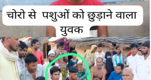 Uttar Pradesh police caught : उत्तराखंड के चोरों को उत्तर प्रदेश की पुलिस ने पकड़ा ?
