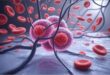 Risk of fatal disease : कैंसर पर बड़ी खोज : इंसानों में मिला ऐसा जेनेटिक बदलाव, जो बढ़ाता है इस जानलेवा बीमारी का खतरा ?