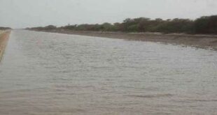 Dadupur-Nalvi Canal: दादूपुर-नलवी नहर : नहर बंद, नुकसान चालू! हरियाणा के किसान बेहाल