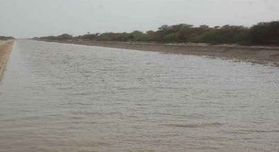 Dadupur-Nalvi Canal: दादूपुर-नलवी नहर : नहर बंद, नुकसान चालू! हरियाणा के किसान बेहाल