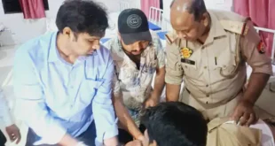 Sub Inspector Died In Road Accident: रात में गश्त से लौटते समय सांड से टकराई बाइक, लखनऊ में इलाज के दौरान मौत