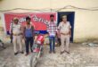 The accused were arrested : कैराकत पुलिस ने चोरी की बाइक, अवैध तमंचा व कारतूस के साथ दो आरोपी गिरफ्तार किए ?