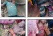 Died due to drowning :प्रयागराजः मेजा थाना क्षेत्र के बेदौली गाँव की एक दिल दहला देने वाली घटना, चार मासूम बच्चों की गड्डे में डूबने से मौत हो गई ?
