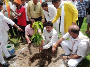 Kallu Singh Rajput : भाजपा जिला कार्यालय में वृक्षारोपण करते जिलाध्यक्ष कल्लू सिंह राजपूत ? 