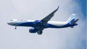 Indigo flight : बर्ड हिट के बाद पटना में इंडिगो की फ्लाइट की इमरजेंसी लैंडिंग, 175 यात्री सुरक्षित ?