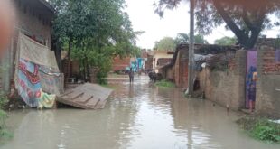 Flood like situation : सहेवा गांव जलमग्न, नालियों की सफाई न होने से बाढ़ जैसे हालात
