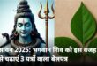 Scientific Mystery : भगवान शिव पर बेलपत्र क्यों चढ़ाते हैं? जानिए धार्मिक मान्यता और वैज्ञानिक रहस्य ?