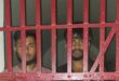 The accused were arrested : थाना रामपुर पुलिस ने 24 घंटे में चोरी की बाइक बरामद कर दो आरोपियों को गिरफ्तार किया ?