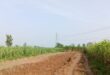 Clay mining : रातों-रात सिंभावली में अवैध मिट्टी खनन