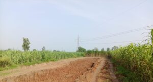 Clay mining : रातों-रात सिंभावली में अवैध मिट्टी खनन