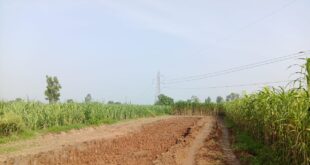 Clay mining : रातों-रात सिंभावली में अवैध मिट्टी खनन