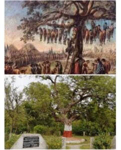 That tree of Fatehpur : बावन इमली: फतेहपुर का वो पेड़, जहां झूल गई थी 52 आजादी की चिंगारियां ?