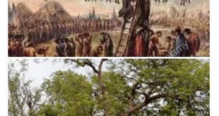 That tree of Fatehpur : बावन इमली: फतेहपुर का वो पेड़, जहां झूल गई थी 52 आजादी की चिंगारियां ?