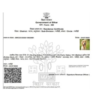 Shocking negligence : RTPS पोर्टल पर ‘डॉग बाबू’ का प्रमाण पत्र: मसौढ़ी प्रशासन की चौंकाने वाली लापरवाही ? 