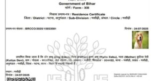 Shocking negligence : RTPS पोर्टल पर ‘डॉग बाबू’ का प्रमाण पत्र: मसौढ़ी प्रशासन की चौंकाने वाली लापरवाही ?