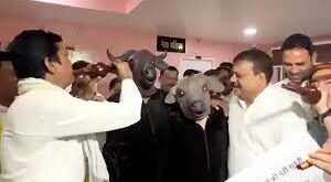 Congress MLA : सरकार की अनदेखी पर कांग्रेस विधायक ने भैंस बनकर प्रदर्शन किया ?
