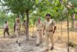 Killing of cows : घुंघचाई में गोकशी, पुलिस लापरवाही से गौवंशों की हत्या ?