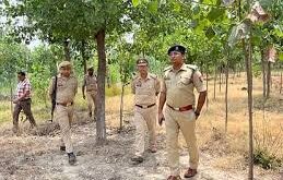 Killing of cows : घुंघचाई में गोकशी, पुलिस लापरवाही से गौवंशों की हत्या ?