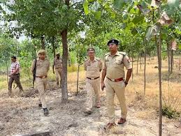 Killing of cows : घुंघचाई में गोकशी, पुलिस लापरवाही से गौवंशों की हत्या ? 