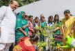 President Mangeram Chaudhary : एक पेड़ मां के नाम थीम पर जिला पंचायत अध्यक्ष मांगेराम चौधरी ने मोहण्ड रेंज में शुरू किया वृक्षारोपण ? 