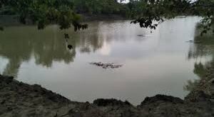 Excavation in progress : मनरेगा में फर्जीवाड़ा: पानी भरे तालाब में चल रही खुदाई ?