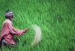 Un-feeding the World Bank : गरीबों को मिलेगा बिना ब्याज ऋण और मकान निर्माण हेतु 2.40 लाख की सहायता अन-फीडिंग वर्ल्ड बैंक योजना का हुआ भव्य शुभारंभ ?