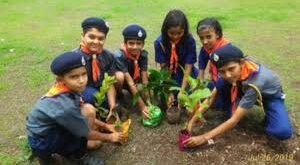 Ex-servicemen and Central : नवजात शिशु के माता-पिता, पूर्व सैनिक एवं केंद्रीय विद्यालय के स्कूली बच्चों को ग्रीन गोल्डन कार्ड व तुलसी का पौधा दिया: मा0मंत्री ?