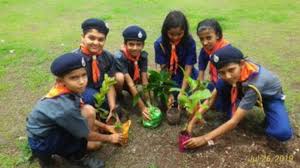 Ex-servicemen and Central : नवजात शिशु के माता-पिता, पूर्व सैनिक एवं केंद्रीय विद्यालय के स्कूली बच्चों को ग्रीन गोल्डन कार्ड व तुलसी का पौधा दिया: मा0मंत्री ?