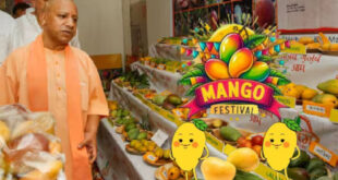 Chief Minister Will Organize Mango Festival Tomorrow: मुख्यमंत्री कल करेंगे आम महोत्सव की शुरुआत, 4 से 6 जुलाई तक 800 से अधिक आम की प्रजातियों का होगा प्रदर्शन