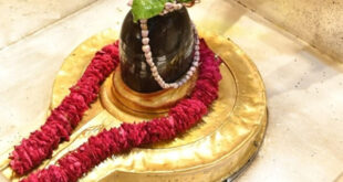 Aak and Dhatura : सावन विशेष - महादेव को क्यों प्रिय है भांग, आक और धतूरा? ‘नीलकंठ’ से है कनेक्शन ?
