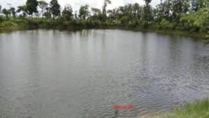 Drowned himself : सतना में दर्दनाक हादसा, तालाब में गिरी पत्नी को बचाने कूदा पति उसे तो निकाल लिया पर खुद डूब गया ?