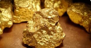 Gold reserves : ओडिशा के 6 जिलों में मिला 20 टन सोने का भंडार ?