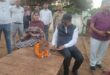Cow worship : जिलाधिकारी डॉ. दिनेश चंद्र ने जन्माष्टमी पर बदलापुर गौशाला का निरीक्षण कर गो‑पूजन किया ?
