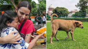 Final Verdict : सुप्रीम कोर्ट द्वारा आवारा कुत्तों पर अंतिम निर्णय (22 अगस्त 2025) ?