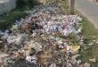 Dirt in the village : दस माह से सफाई कर्मी नदारद, गांव में गंदगी का अंबार ?