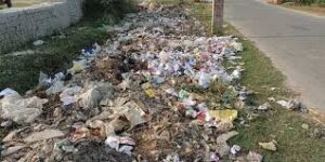 Dirt in the village : दस माह से सफाई कर्मी नदारद, गांव में गंदगी का अंबार ?