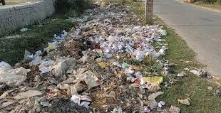 Dirt in the village : दस माह से सफाई कर्मी नदारद, गांव में गंदगी का अंबार ?