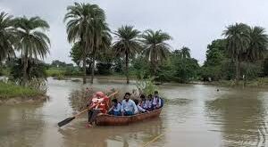 Island : सोनामऊ गांव की समस्या बरसात में बदलता है टापू में, अधिकारी बने हैं मौन दर्शक ?