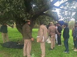 Deoband : विठ्ठलपुर गांव में युवक की संदिग्ध परिस्थितियों में मौत, पुलिस कर रही जांच, सीओ देवबंद ने दी जानकारी ?
