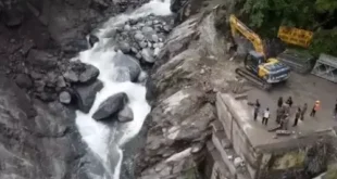Experts in tragedy : धराली त्रासदी में एक्सपर्ट्स ने कहा- देवदार के पेड़ होते तो आपदा रुक सकती थी ?