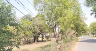 In Kohra village : मड़ियाहूं विधानसभा क्षेत्र के नेवढ़िया पावर हाउस अंतर्गत लगधरपुर ग्राम सभा के कोहड़ा गांव में ?